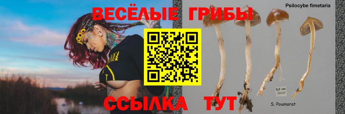 Галлюциногенные грибы ЛСД  Вход с VPN  Кувандык  Псилоцибиновые грибы ЛСД 
